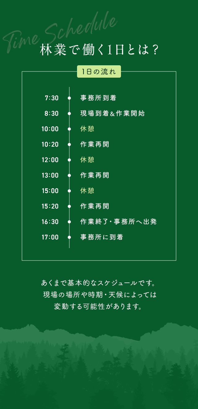 sp_contents_bg